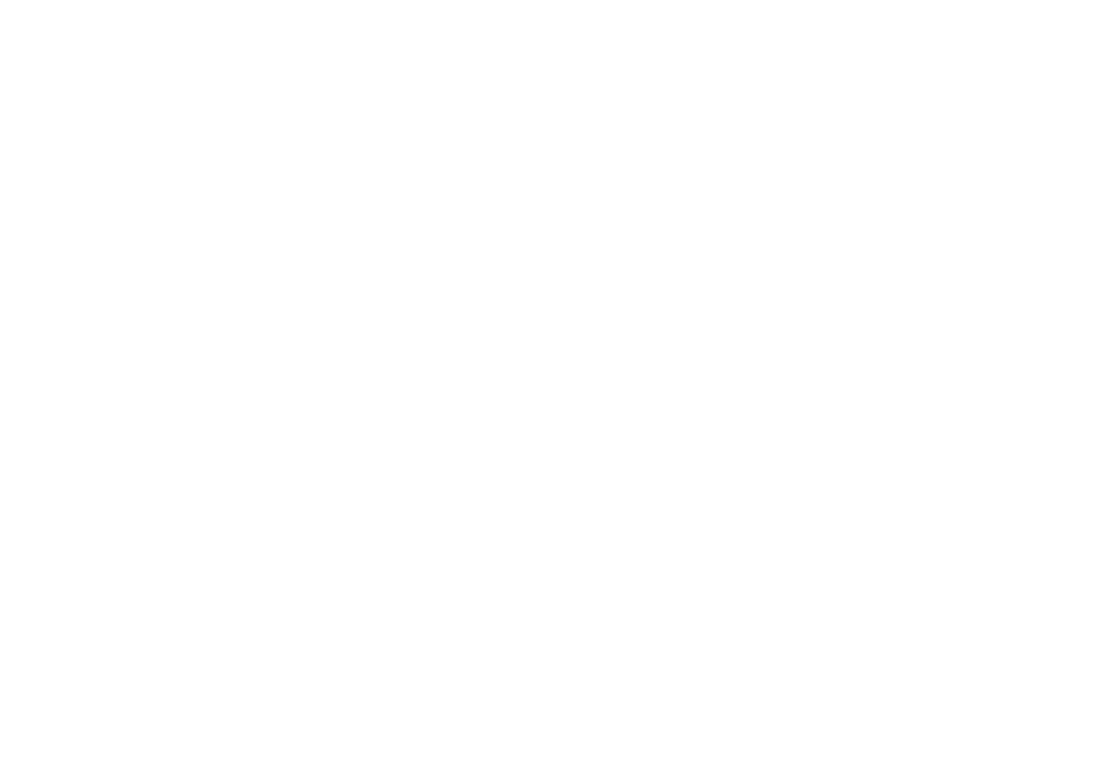 TZR Studio